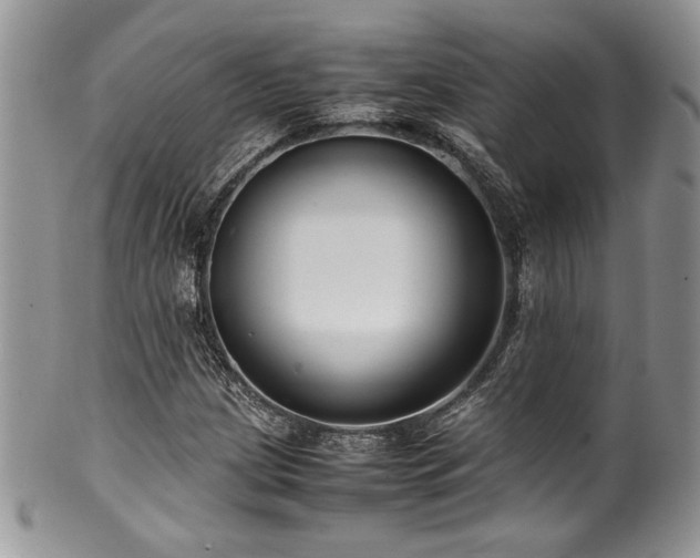 X0000100341209200806051530