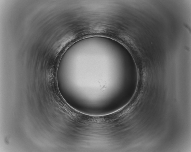 X0000100341210200806051530