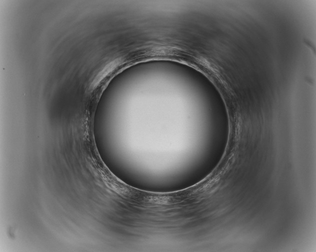 X0000100341211200806051530