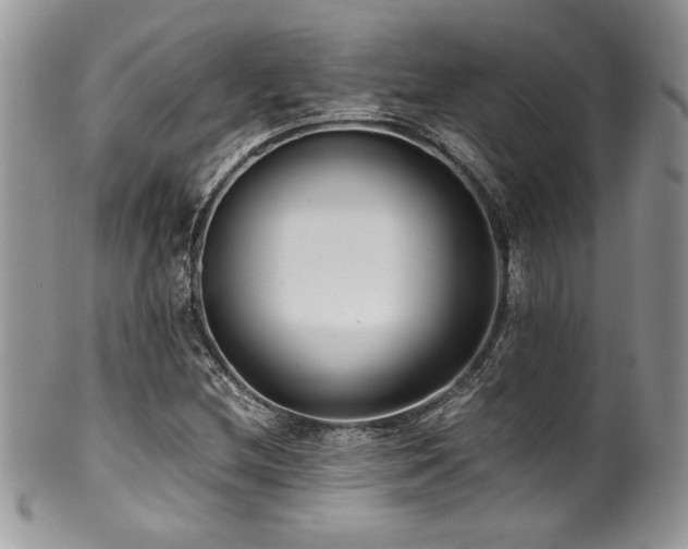 X0000100341212200806051530