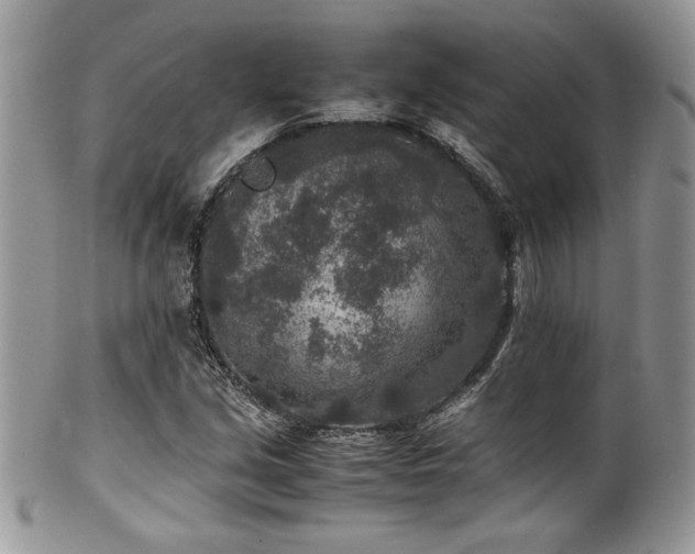 X0000100341213200806051530