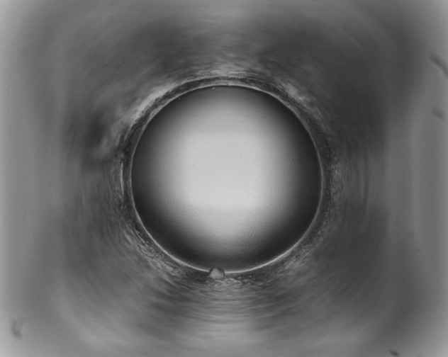 X0000100341214200806051530