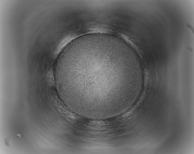 X0000100341215200806051530
