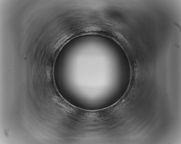 X0000100341217200806051530
