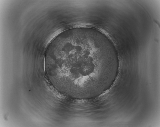 X0000100341219200806051530