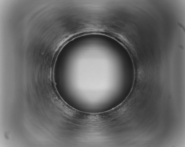 X0000100341220200806051530