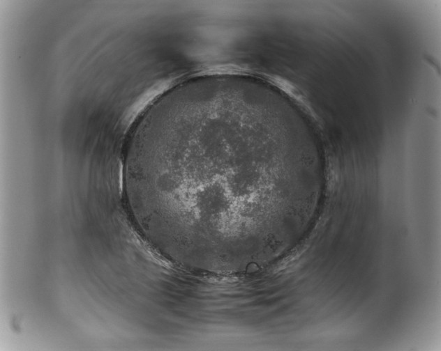 X0000100341221200806051530