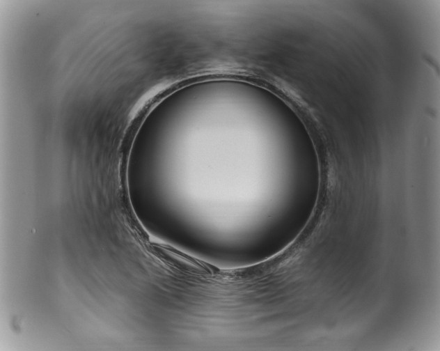 X0000100341222200806051530