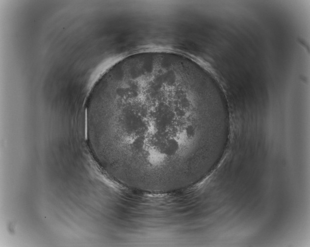 X0000100341223200806051530