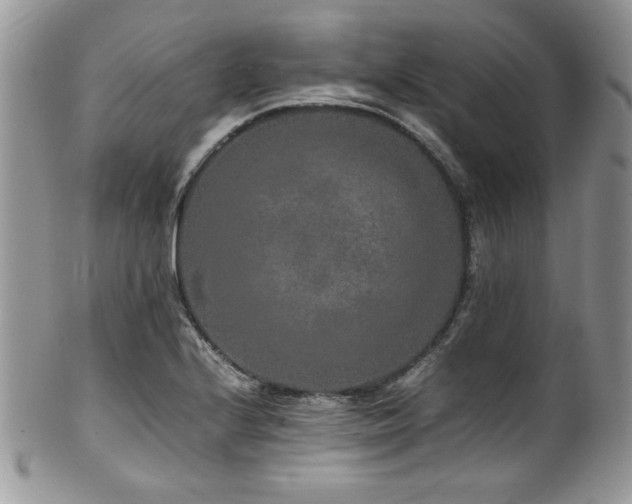 X0000100341224200806051530