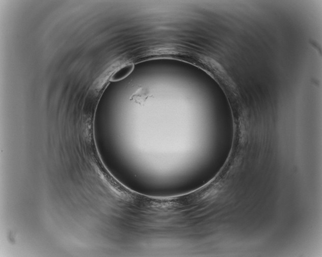 X0000100341225200806051530