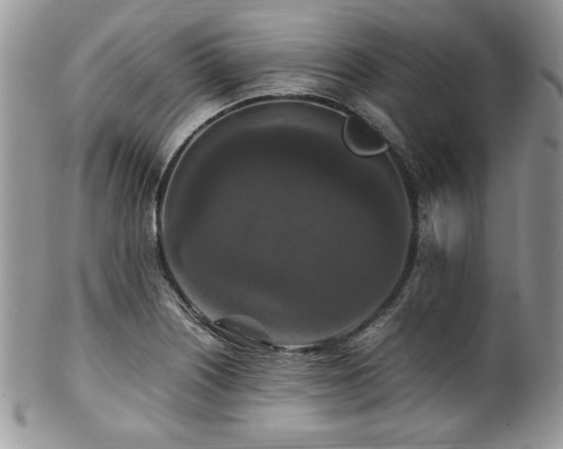X0000100341226200806051530
