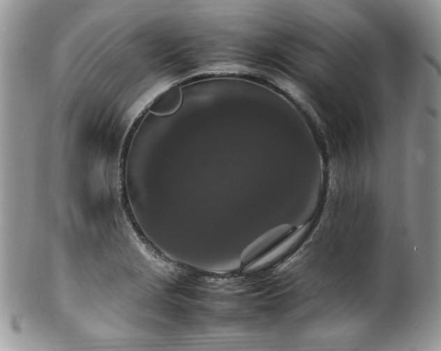X0000100341229200806051530