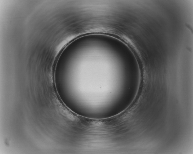 X0000100341230200806051530