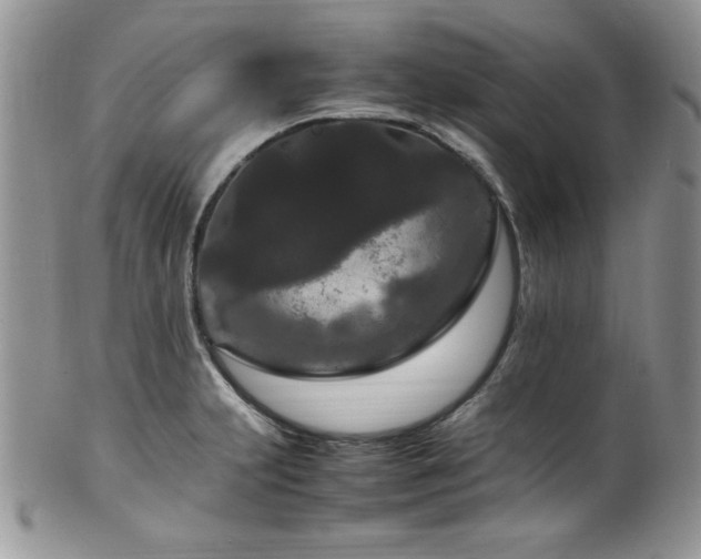X0000100341231200806051530