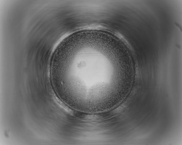 X0000100341232200806051530