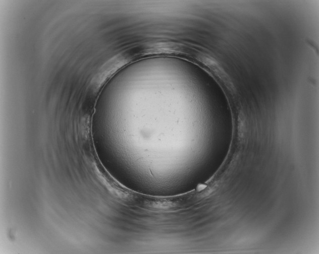 X0000100341233200806051530