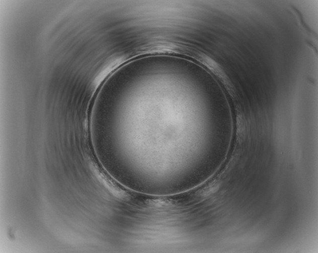 X0000100341234200806051530