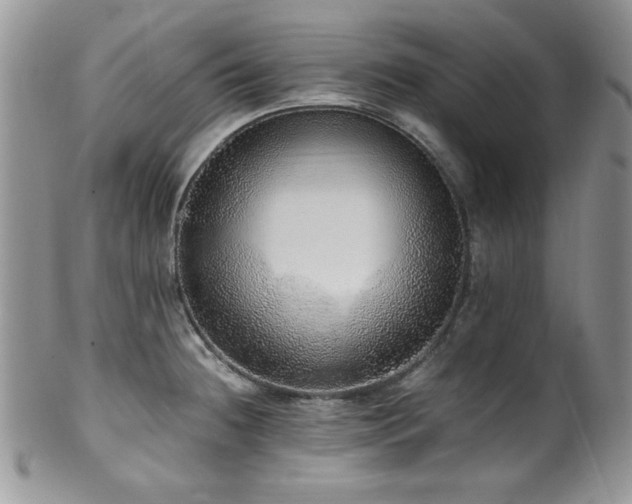 X0000100341236200806051530