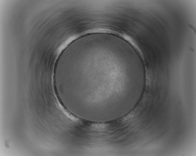 X0000100341237200806051530