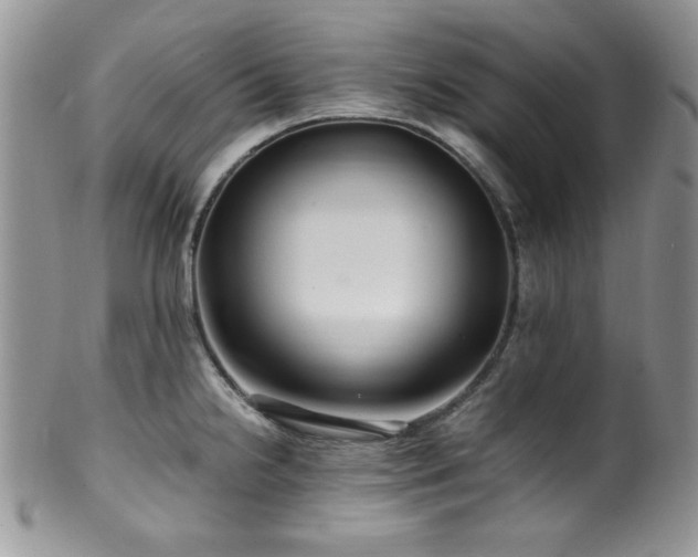 X0000100341238200806051530