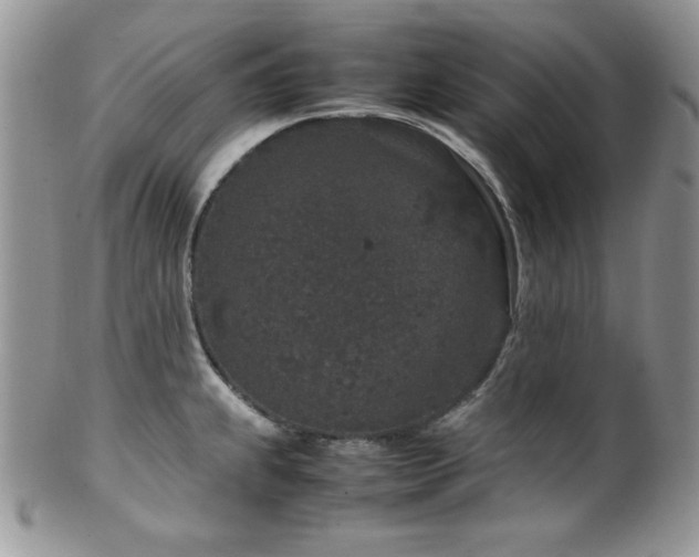 X0000100341239200806051530