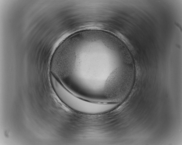 X0000100341240200806051530