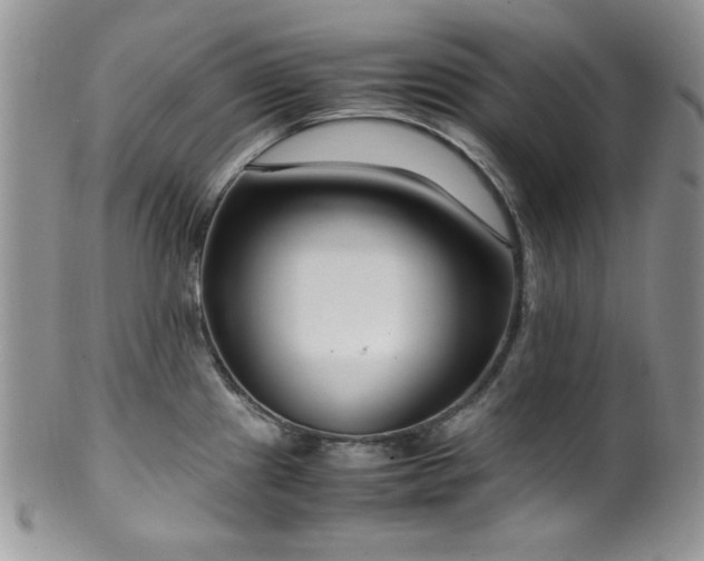 X0000100341241200806051530