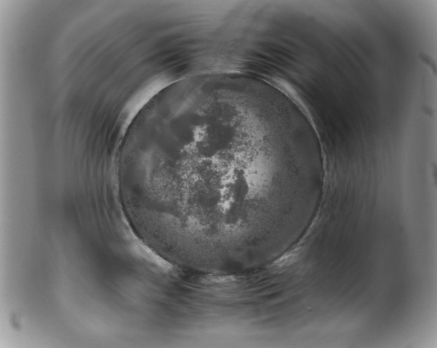 X0000100341243200806051530