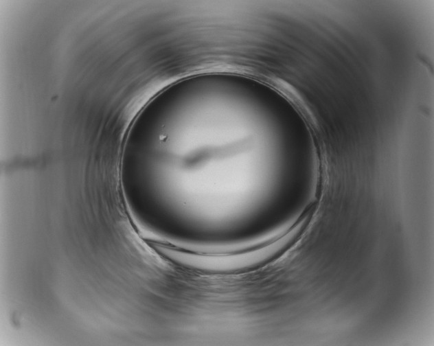 X0000100341244200806051530