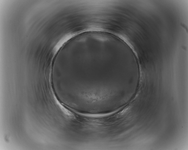 X0000100341245200806051530
