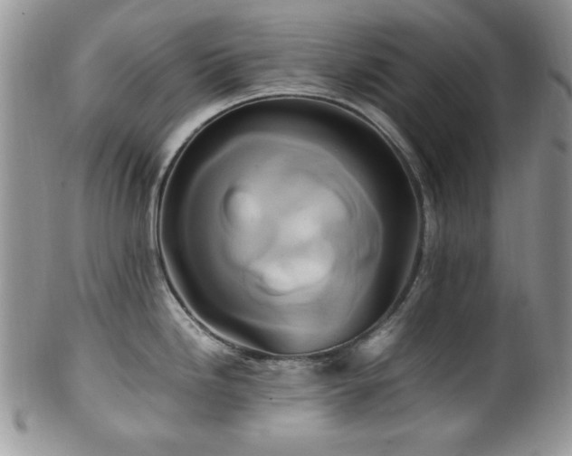 X0000100341246200806051530