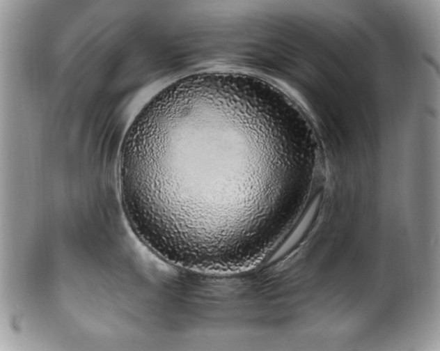 X0000100341247200806051530