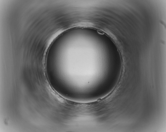 X0000100341248200806051531