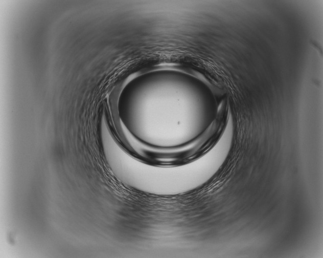 X0000100341249200806051530