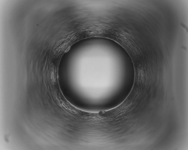 X0000100341250200806051530