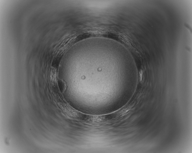 X0000100341251200806051530