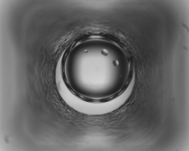 X0000100341253200806051530