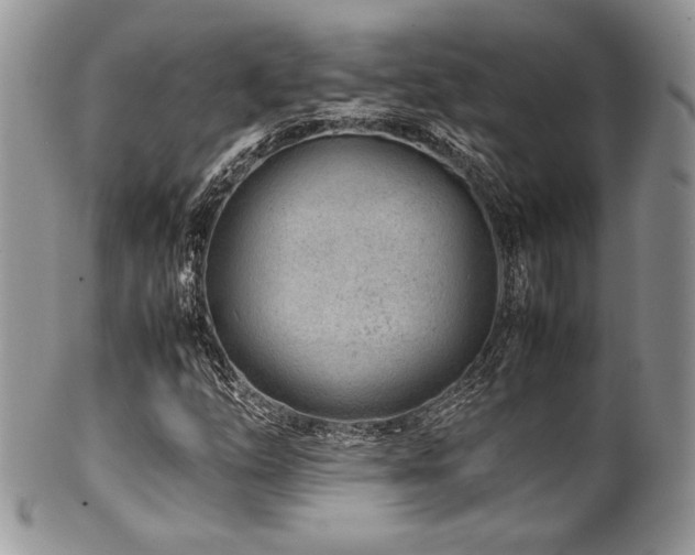 X0000100341254200806051530