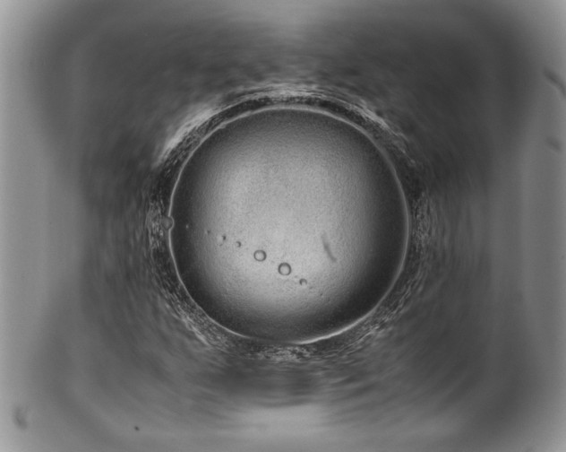 X0000100341255200806051530