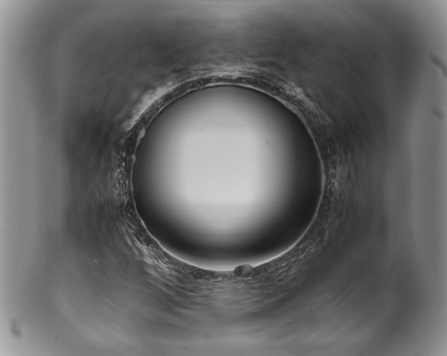 X0000100341256200806051530