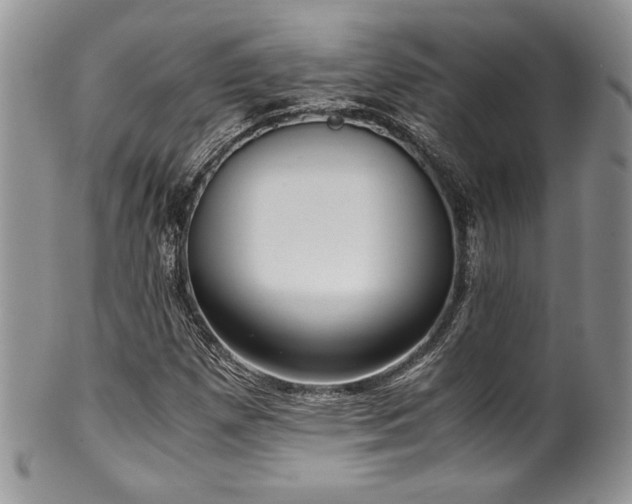X0000100341257200806051530
