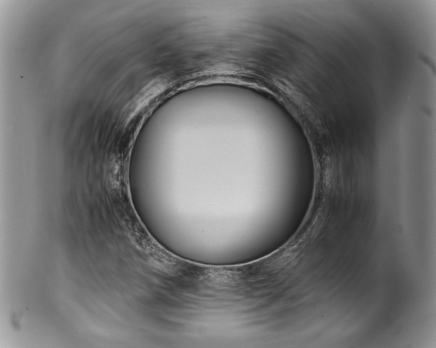 X0000100341258200806051530