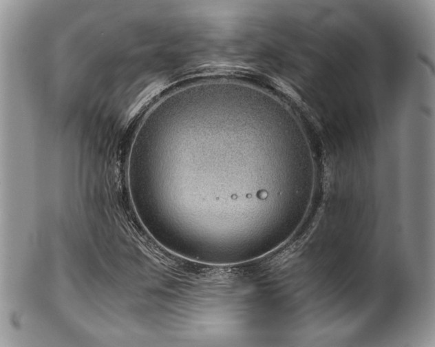 X0000100341259200806051530