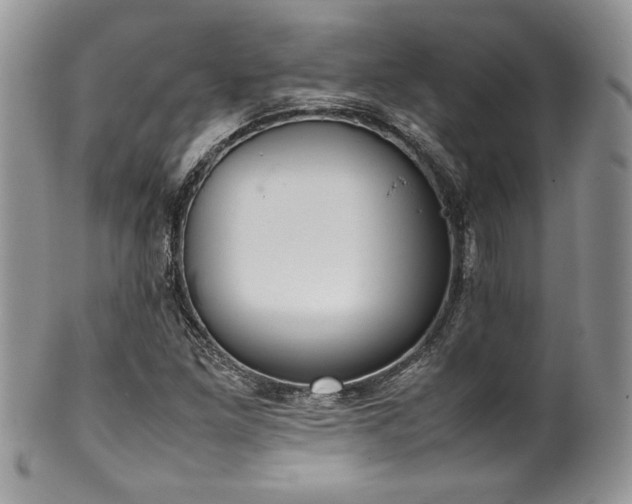 X0000100341261200806051530