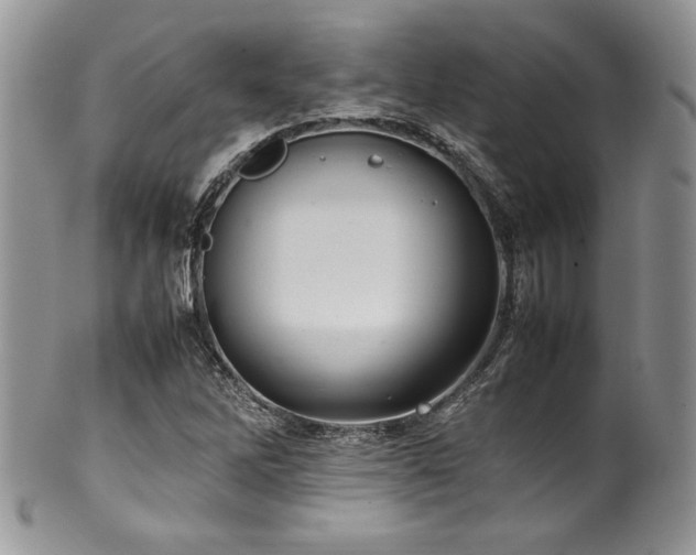 X0000100341262200806051530