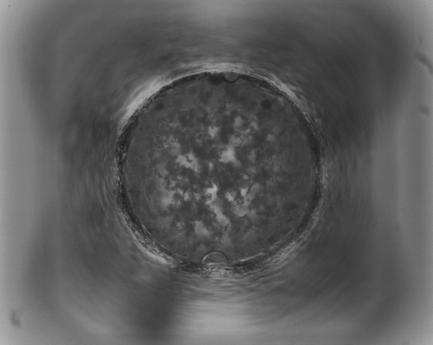 X0000100341263200806051530