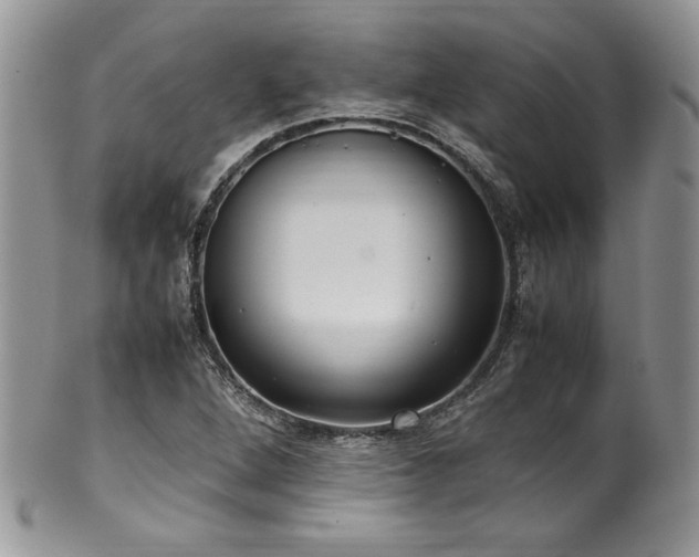 X0000100341264200806051530