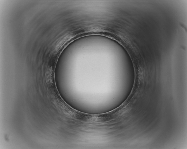 X0000100341265200806051530