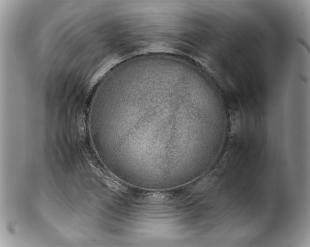 X0000100341266200806051530